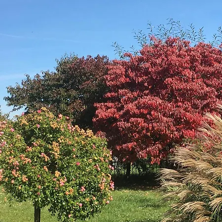 Charmante Maison Au Coeur Des Vergers Avec Cheminee, Jardin Secret Et Jeux Pour Enfants