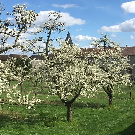 Charmante Maison Au Coeur Des Vergers Avec Cheminee, Jardin Secret Et Jeux Pour Enfants 3* Watronville