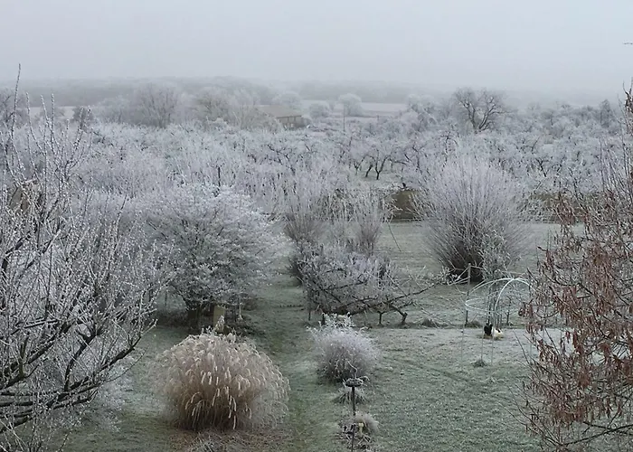 Charmante Maison Au Coeur Des Vergers Avec Cheminee, Jardin Secret Et Jeux Pour Enfants - Fr-1-585-151 Отель типа 