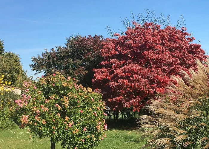 Charmante Maison Au Coeur Des Vergers Avec Cheminee, Jardin Secret Et Jeux Pour Enfants - Fr-1-585-151