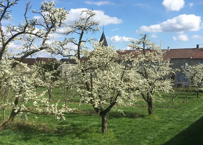 Charmante Maison Au Coeur Des Vergers Avec Cheminee, Jardin Secret Et Jeux Pour Enfants - Fr-1-585-151 * Watronville